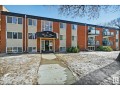 extensively-renovated-2-bedroom-condo-small-0