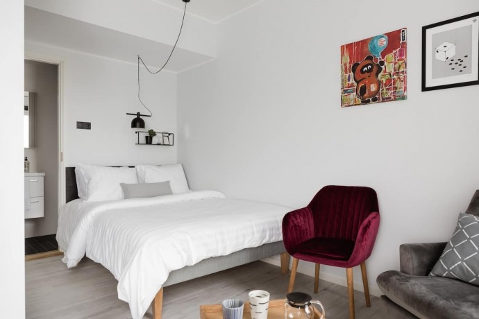 te-huur-2-kamer-appartement-van-nijenrodeweg-in-amsterdam-big-1