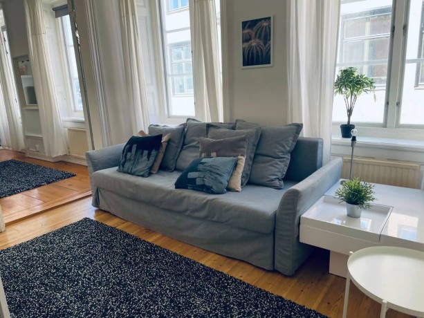 1-room-apartment-1-184kr-per-night-big-3