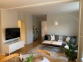 3-room-apartment-1-222kr-per-night-small-1