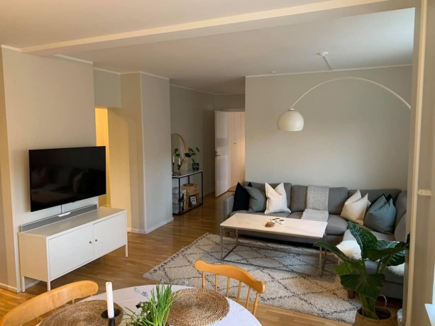 3-room-apartment-1-222kr-per-night-big-1