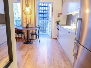 1-room apartment, 915kr per night